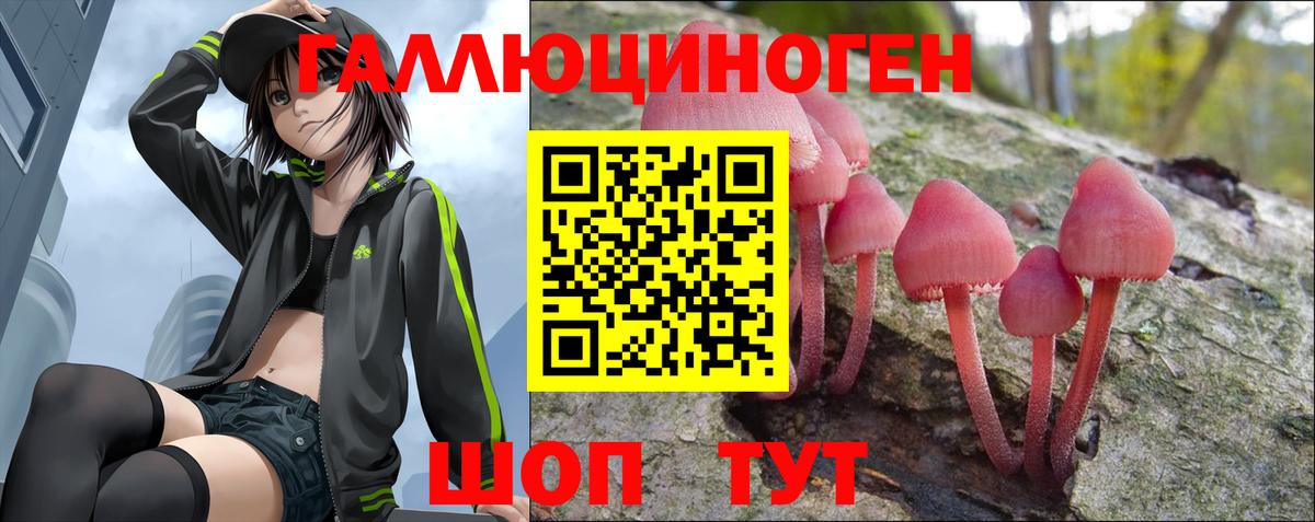 Псилоцибиновые грибы мухоморы  Вход с VPN  Галлюциногенные грибы Psilocybe  купить закладку  Тавда 