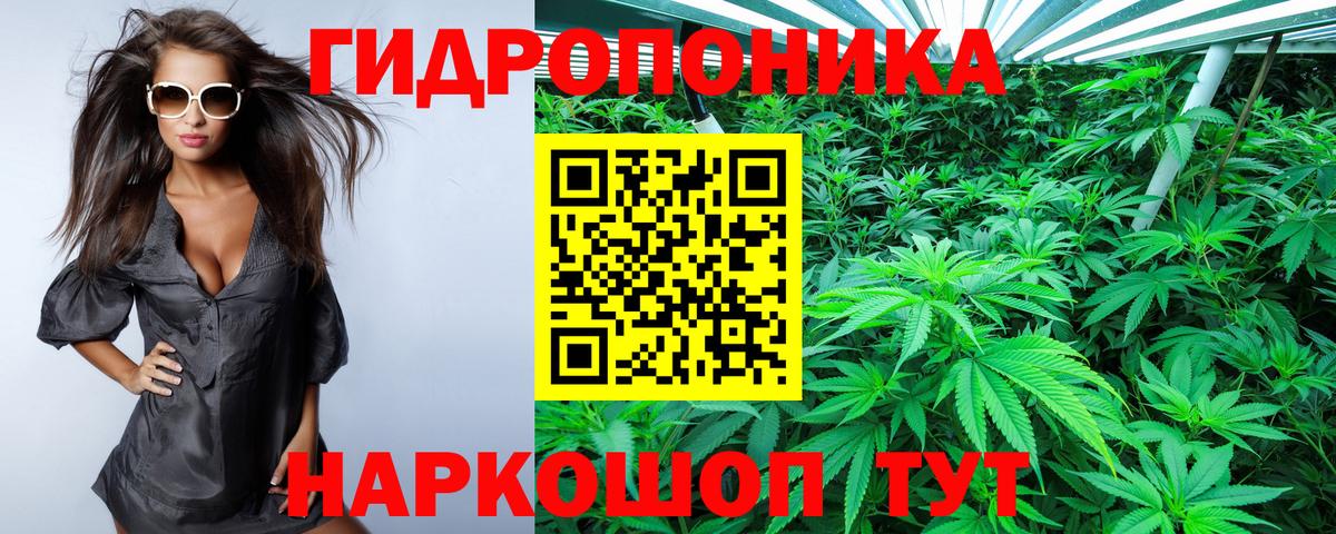 Каннабис сатива  Бошки марихуана план  Бошки Шишки LSD WEED  Тавда  Вход с VPN 